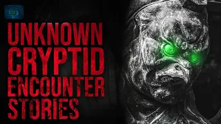 CREATURES AND HORRORS OF THE NIGHT - SCARY STORIES OF CRYPTIDS AND UNKNOWN CREATURES