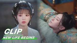 Hao Jia Tries to End Her Life | New Life Begins EP25 | 卿卿日常 | iQIYI