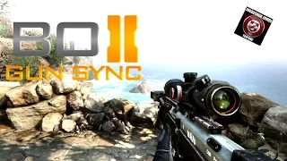 Black Ops Gun Sync  Monster V2
