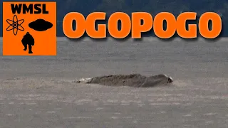 The best lake monster video I've seen - Ogopogo in Canada