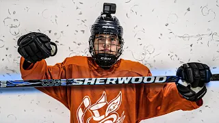 Most UNDERRATED stick of the year?! * SHERWOOD CODE TMP PRO *