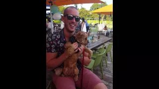 Happy man, terrified dog