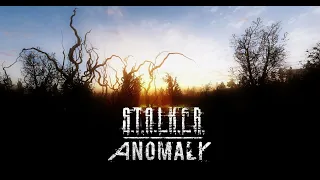 Видео Обзор - S.T.A.L.K.E.R. Anomaly Custom 1.5.2 «Геймплей, графончик и прочее»