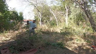 I had to comeback to take care of this OVERGROWN Backyard for the PASTOR who passed