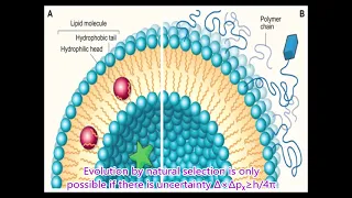 Origin of cell life from non living matter  Abiogenesis an alternative theory