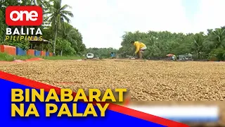 Epekto ng price cap sa mga magsasaka