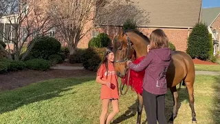 Lela Gets Surprise Christmas Horse!