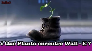 ¿ Qué Planta encontró Wall-E ? Misterios Peliculas Disney Pixar