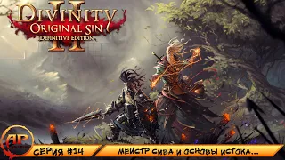 Прохождение Divinity Original Sin 2 Definitive Edition - Серия 14 | Мейстр Сива и Основы Истока