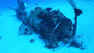 Diving the World War II Corsair Plane Wreck in Oahu