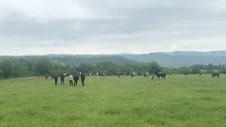 Скачки Беной 5кругов 25.06.2022