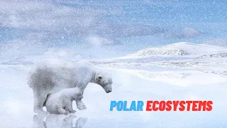 "Arctic Tundra Adventures: Exploring Polar Ecosystems"🌬️🏔️