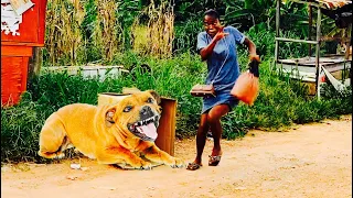 SHE TWISTED HER LEGS!!! BEST OF ANGRY DOG BARKING PRANK