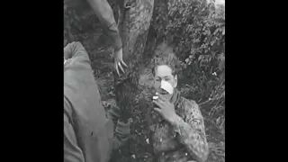 12th SS Soldiers Captured in Normandy