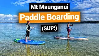 🌊 Stand-Up Paddle Boarding in Mt Maunganui – New Zealand's Biggest Gap Year