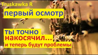 Пчёлы. Первый осмотр пасеки после облёта. Что нужно сделать и какие ошибки. Иначе пчёлы  пропадут