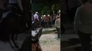 Caballos Bailadores Fiesta Los mochis