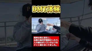 【DMT初体験】