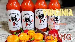 How to Make Shelf Stable Hot Sauce | Vacuum Bag Ferment Hot Sauce - DIY Fermented Hot Sauce