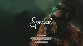 (FREE) Burna Boy x Wizkid x Afroswing Type Beat 2022 - "Special" | Afrobeat Instrumental