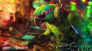 EDM Mashup Mix 2024 🎧 Best Mashups & Remixes of Popular Songs