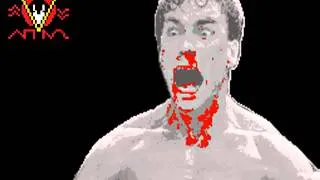 Bloodsport - Fight to Survive [8-bit FamiTracker - VRC6 Cover]