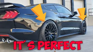 How I Got The PERFECT STANCE On My 2019 MUSTANG GT Premium WITH NO RUBBING **LOWERED 5.0 S550**