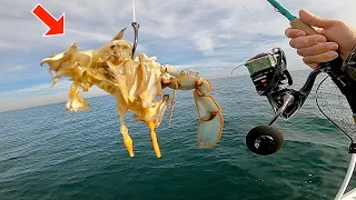 Fishing a BLUE CRAB! on OFFSHORE REEFS... *SURPRISING Results*