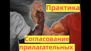 Урок 5 - Латынь - согласовать определение Практика - согласованные прилагательного с существительным