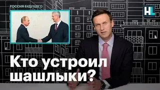 Навальный: кто устроил шашлыки?