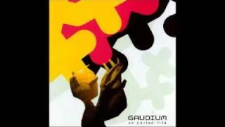 Gaudium - Beer, Drugs & Hookers