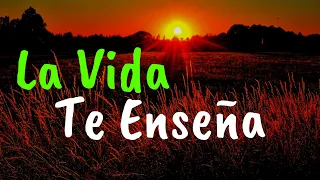 Cosas Que La Vida Nos Enseña ¦  Gratitud, Frases, Reflexiones, Versos, Reflexión, Amor Propio