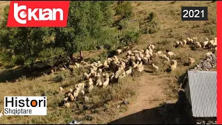 Kopeja më e madhe me delen rudë - Histori Shqiptare nga Alma Çupi në Tv Klan