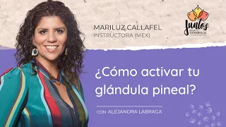 ¿CÓMO ACTIVAR TU GLÁNDULA PINEAL? - Con Mariluz Calafell