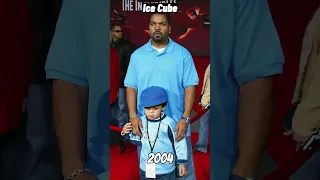Ice Cube Evolution 🧊