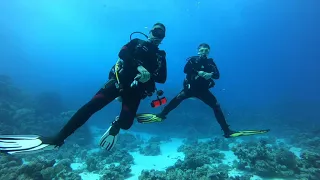 Liveaboard Amelia Discovery, Egypt