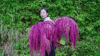 很多人都没有吃过的食材，红彤彤的花像小辫子，不仅漂亮还可以吃｜ 野小妹wild girl 美食