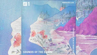 Sounds of the Dawn on NTS 1 #54 [New Age / Ambient / World / Electronic / Jazz Music Cassettes]