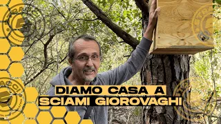 Installazione delle Arnie Trappola GS - Ecco come attiriamo a noi Sciami GRATUITAMENTE!