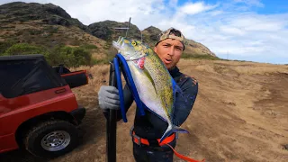 Biggest Omilu Weekend Part 2 ! / SpearFishing Hawaii / Catch N Cook