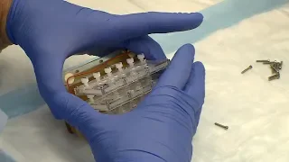 Kidneys-on-a-chip return from space