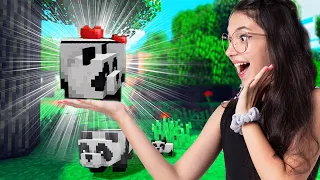 ENCONTREI UM PANDA NO MINECRAFT !! UMA NOVA AVENTURA #4 | Luluca