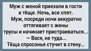 Как Теща Ночью Молодым в Стену Стучала! Сборник Свежих Анекдотов! Юмор!