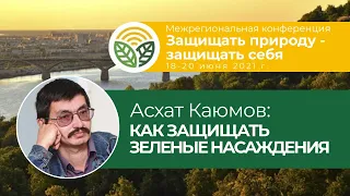 Асхат Каюмов - как защитить зеленые насаждения в городе: опыт Нижнего Новгорода