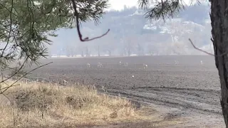 Нижнее Казачье Задонский район