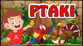 Ptaki bajka edukacyjna dla dzieci po polsku 🐦