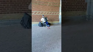 Accordion player at Rijksmuseum