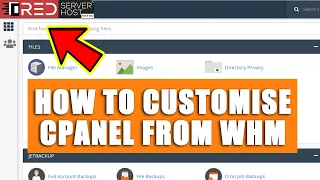 [🔴LIVE] How to customize cPanel under your WHM?