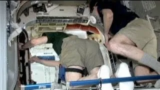 Экипаж МКС открыл стыковочный отсек "Дрэгона"