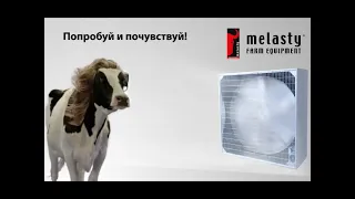 Вентилятор для коровы - MELASTY®